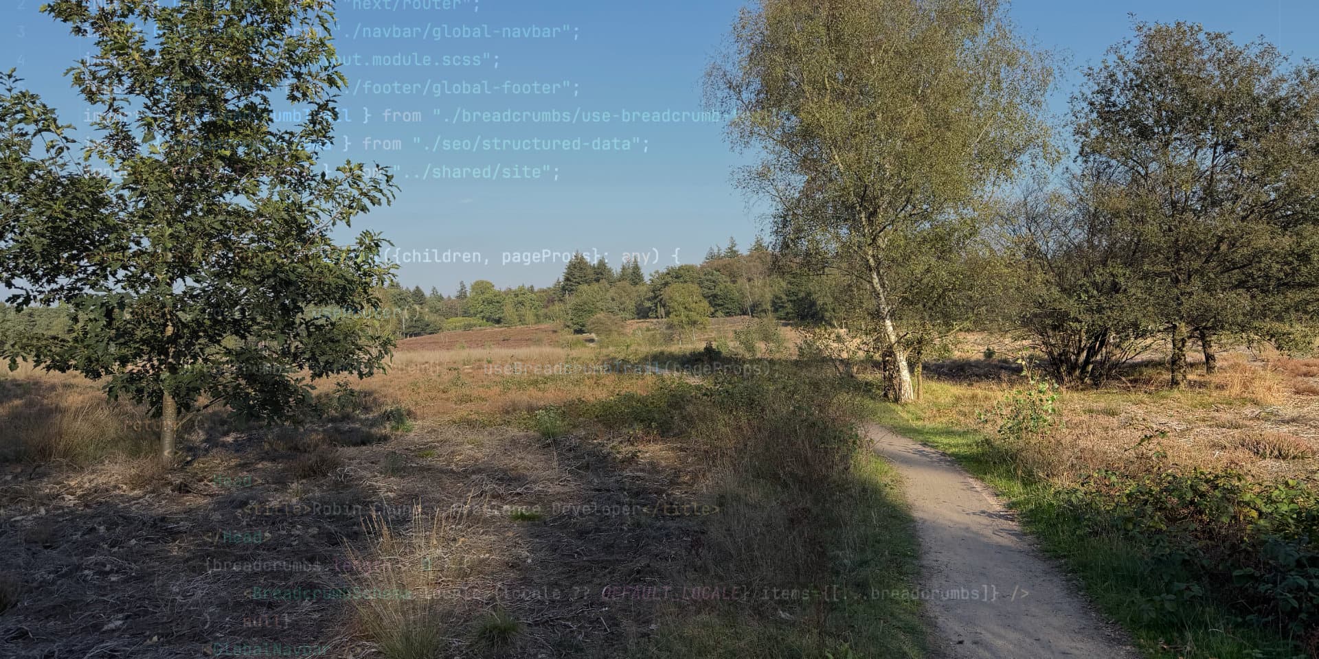 Making 10,000 steps as a software developer